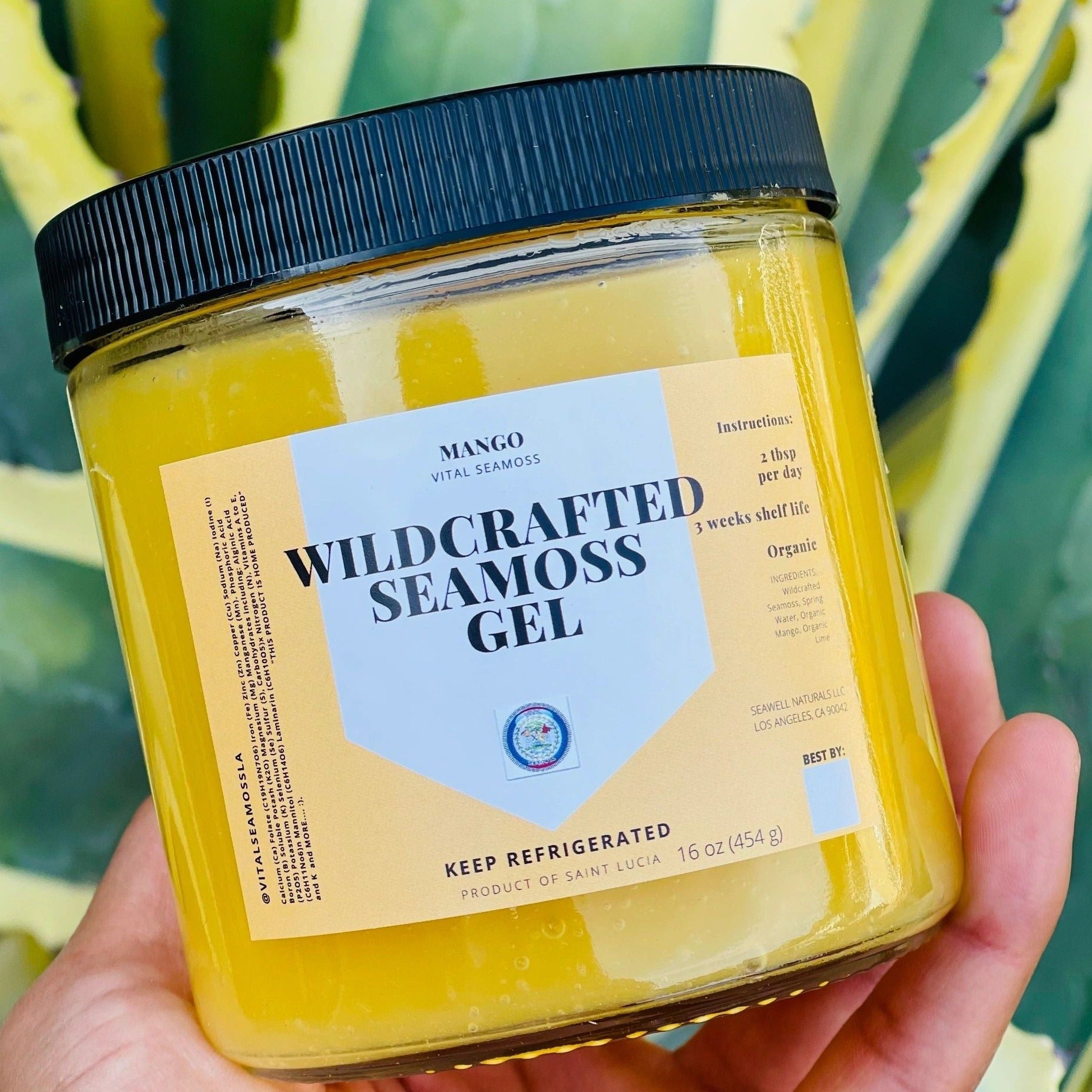 Wildcrafted Mango Sea moss