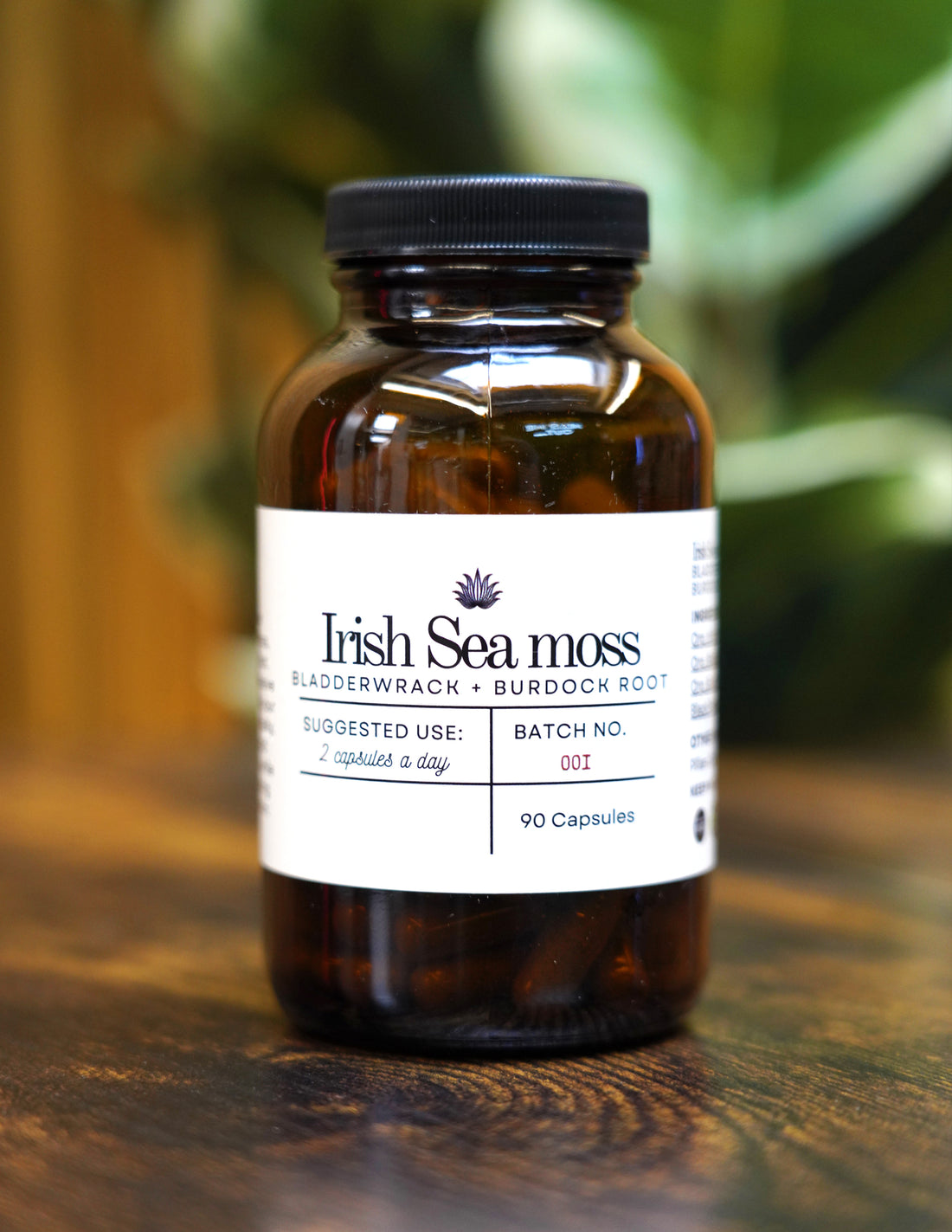 Irish Sea moss, Bladderwrack, and Burdock Root