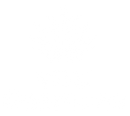 Vital Seamoss