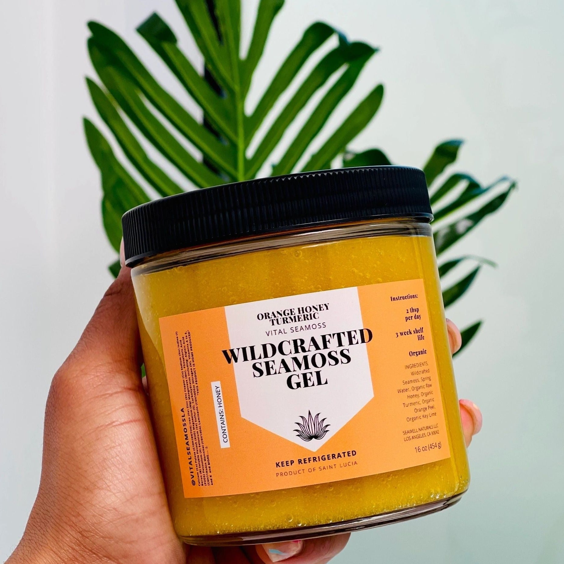 Wildcrafted Orange Turmeric Sea moss – Vital Seamoss