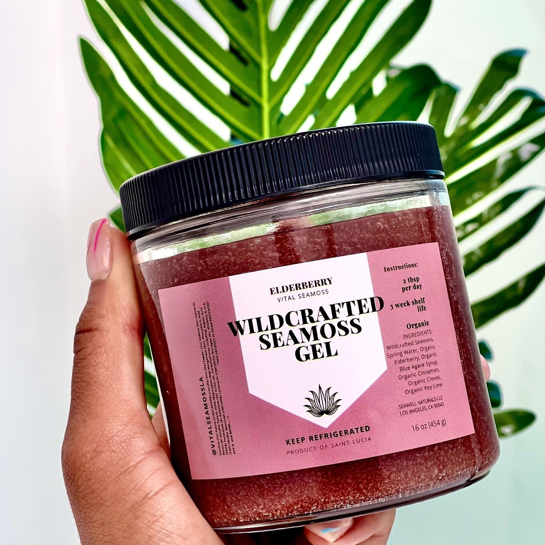 Wildcrafted Elderberry Sea moss – Vital Seamoss